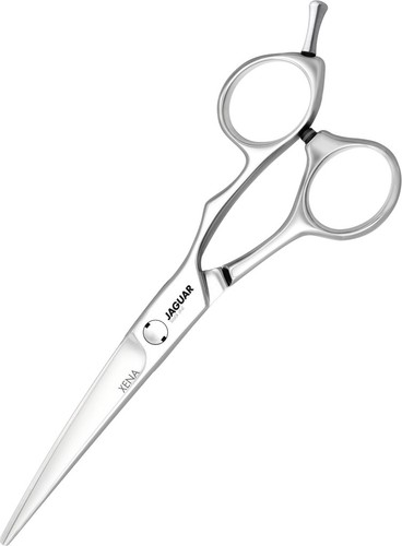 Jaguar xena silver line - jaguar,