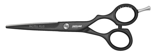 Jaguar pastell plus - pastell, 5,5