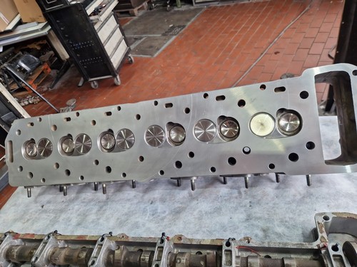 Jaguar v12 3 - jaguar,