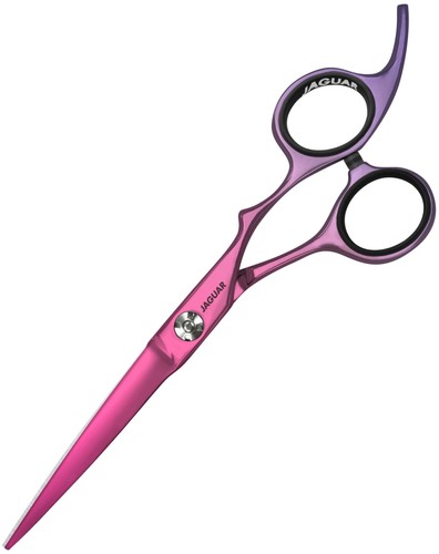 Jaguar nya 5 - jaguar,