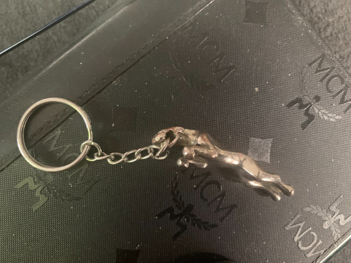 Jaguar schlüssel anhänger - schlüssel,
